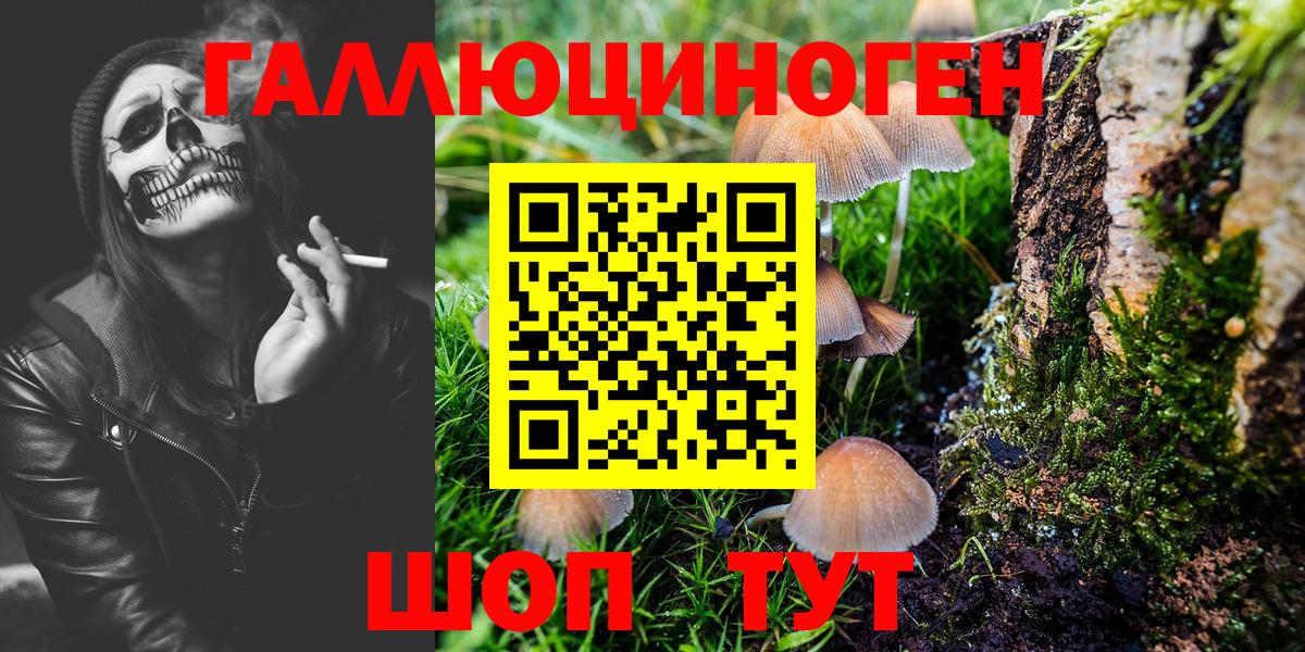 Сунжа  Галлюциногенные грибы ЛСД  Галлюциногенные грибы Magic Shrooms  Вход с VPN 