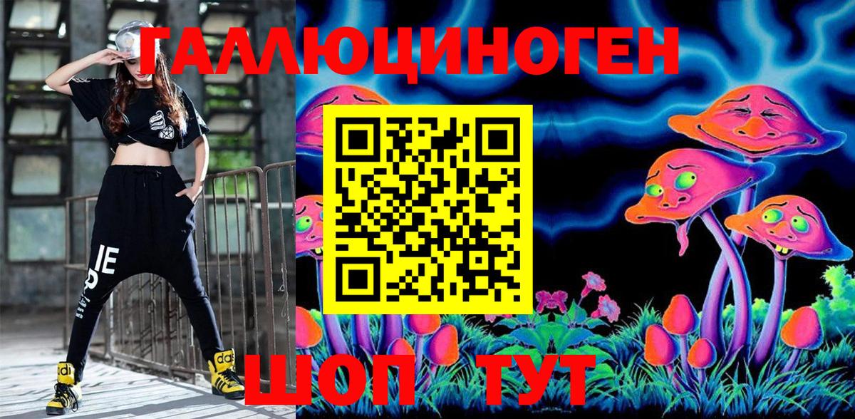 Галлюциногенные грибы Cubensis Сунжа
